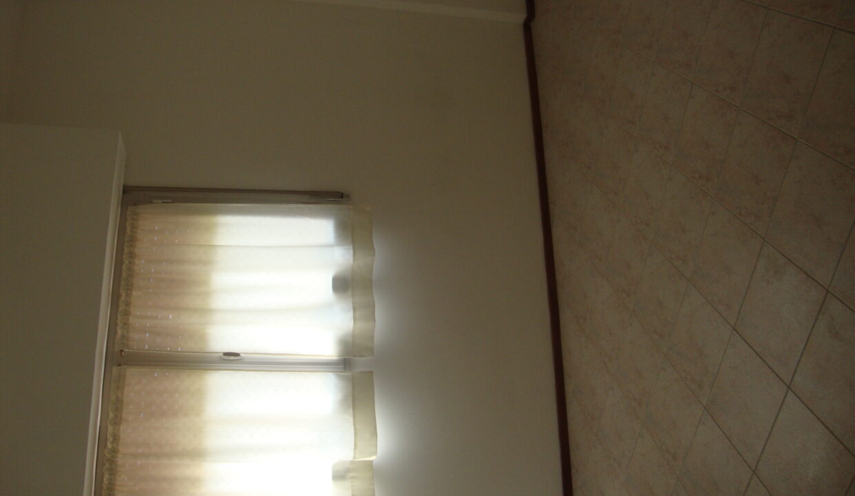 DSC05788 - copia