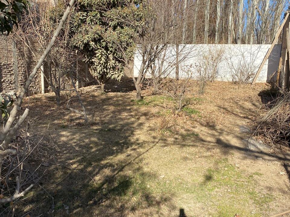IMG-20250722-WA0070