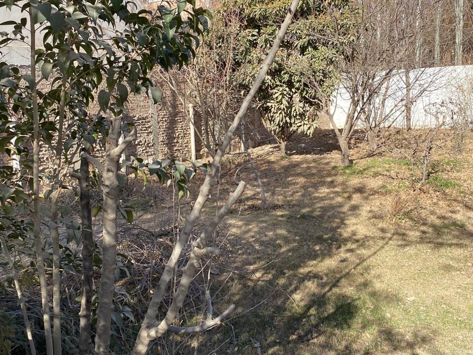IMG-20250722-WA0072